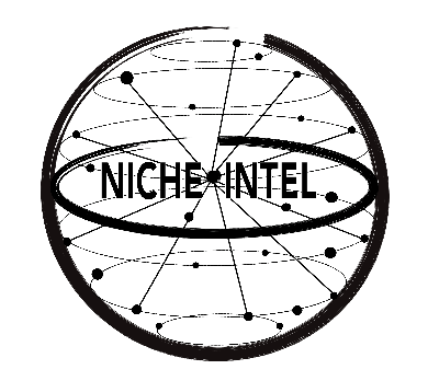 Niche Intelligence Logo